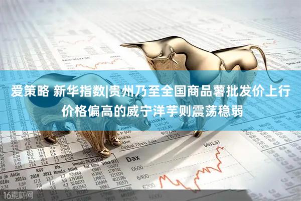 爱策略 新华指数|贵州乃至全国商品薯批发价上行 价格偏高的威宁洋芋则震荡稳弱