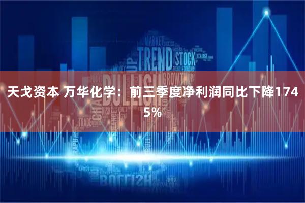 天戈资本 万华化学：前三季度净利润同比下降1745%
